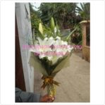 Bunga Handbouqet Cala lily diTeluk Gong Jakarta Utara 085959000629 Kode: BPJ-HB-03
